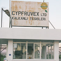 cypruvex