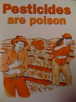 chemical-pest-control