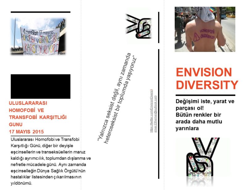 Envision Diversity (1)