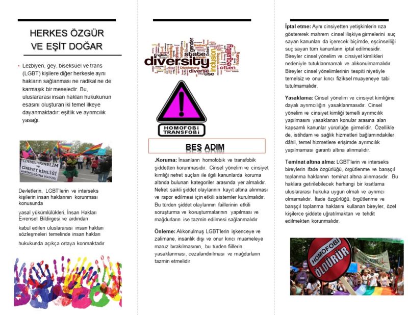 Envision Diversity (2)
