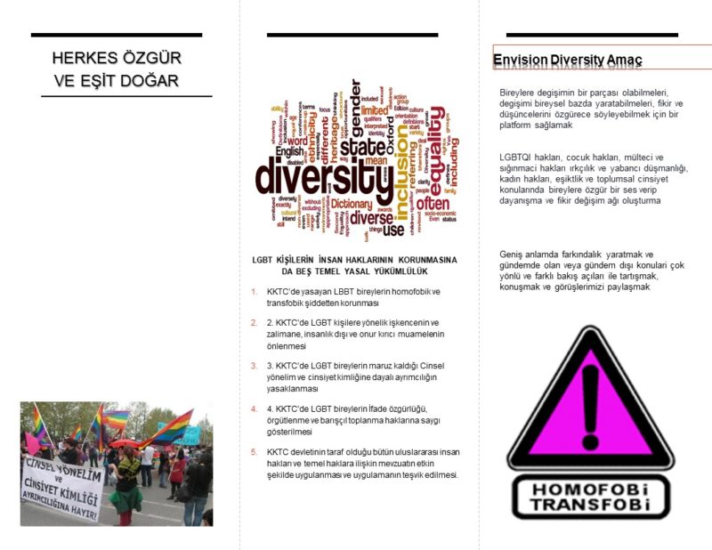 Envision Diversity (3)