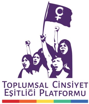 ToplumsalCinsiyetEşitliğiPlatformu